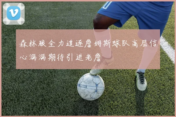 森林狼全力追逐詹姆斯球队高层信心满满期待引进老詹