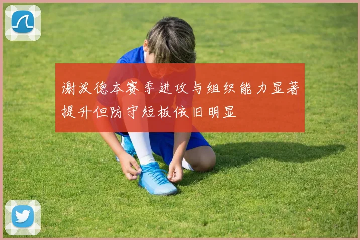 谢泼德本赛季进攻与组织能力显著提升但防守短板依旧明显
